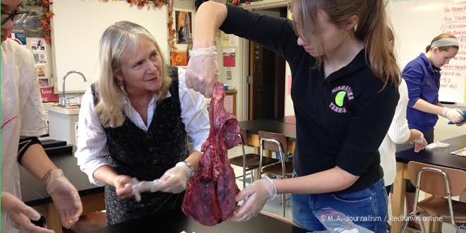 Anatomy students dissect deer hearts and lungs