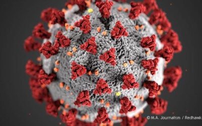 Coronavirus: How COVID stacks up