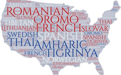 Diversity at Minnehaha: Family Languages