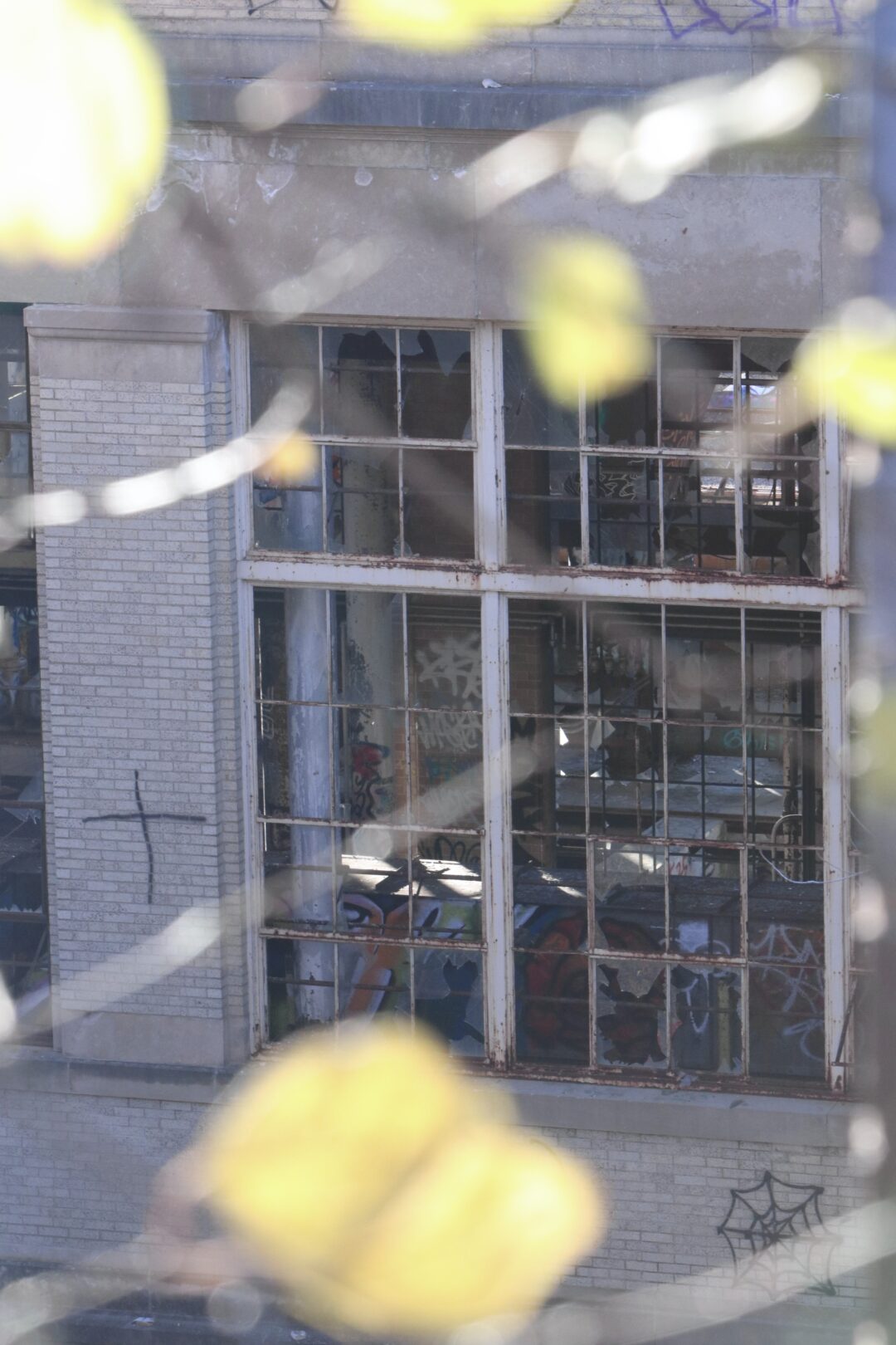 0810E486-E745-465F-BCA2-9ABD425344C8