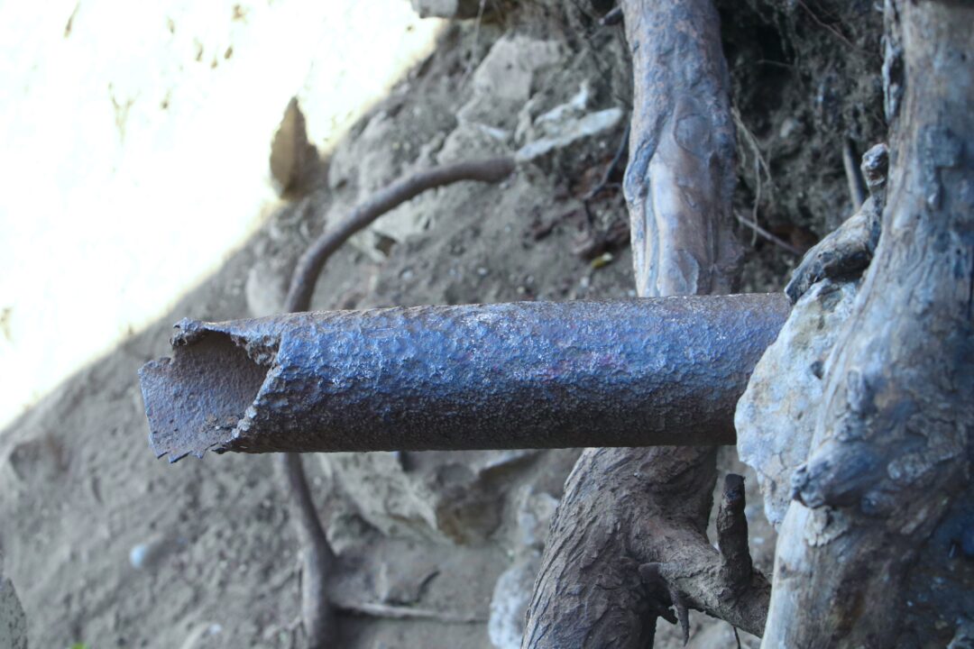 0B734B82-9DAE-4382-A8F3-F35E6000A60B