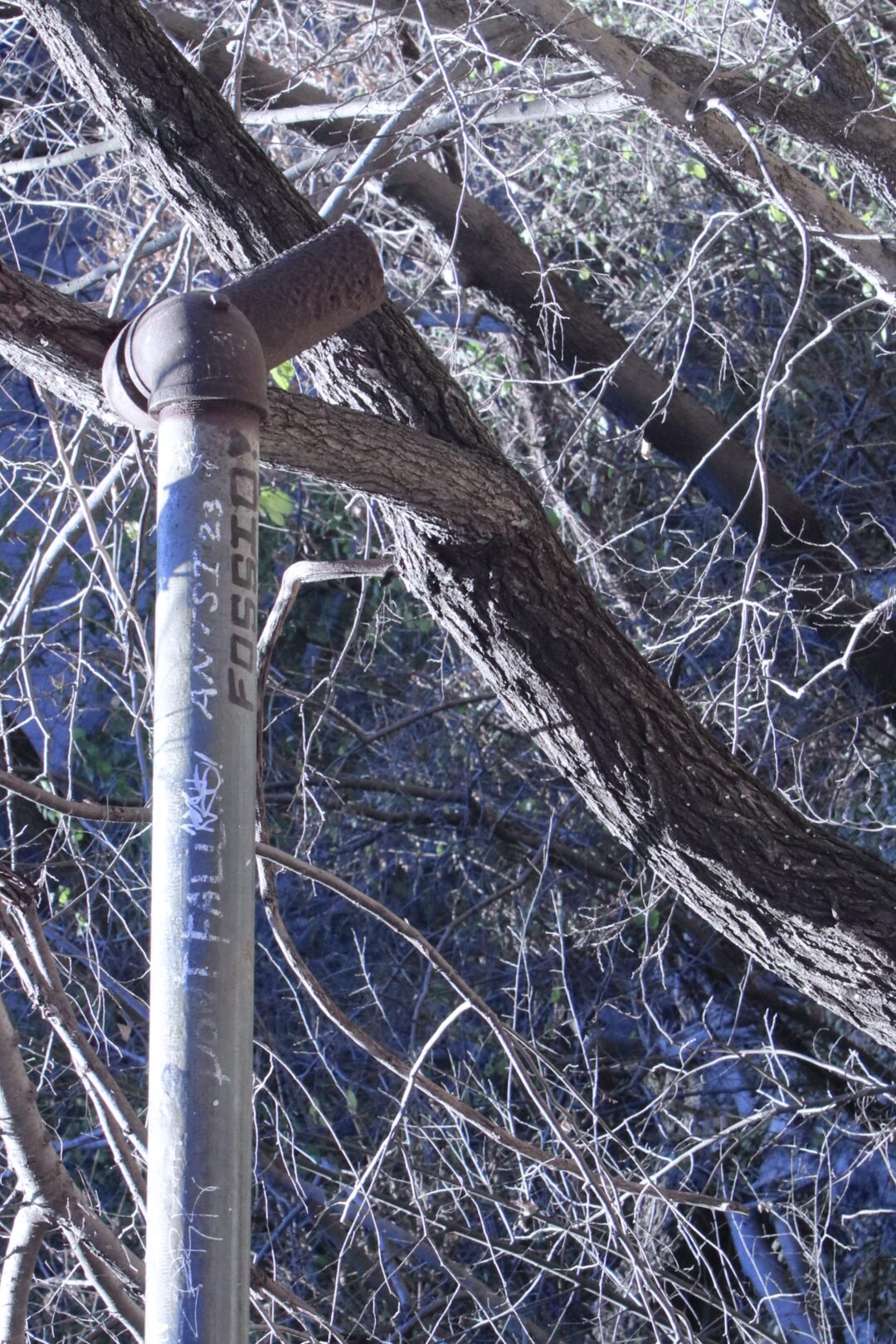 5080DAEE-BF41-409F-A0AB-41E928B8D603