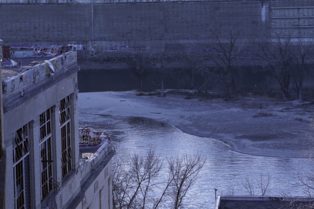 8A1DF2AE-913B-4BBC-98D6-8C9BFAF27303