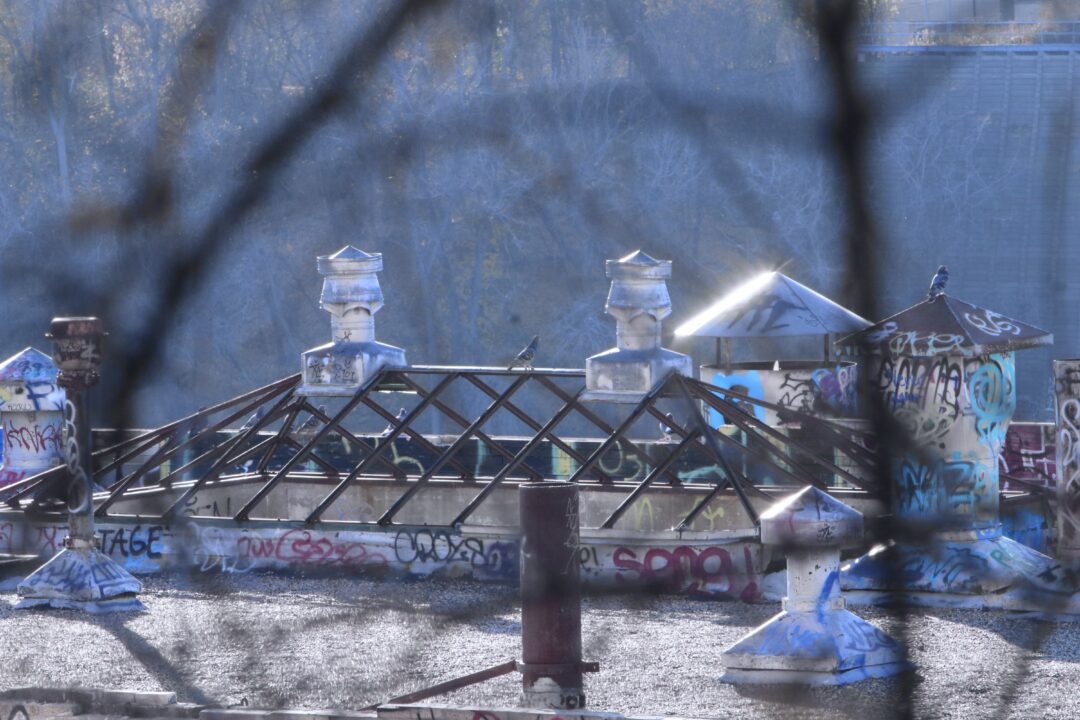 963EAD4A-AF9F-43DA-B01D-6C8B84B5AF04