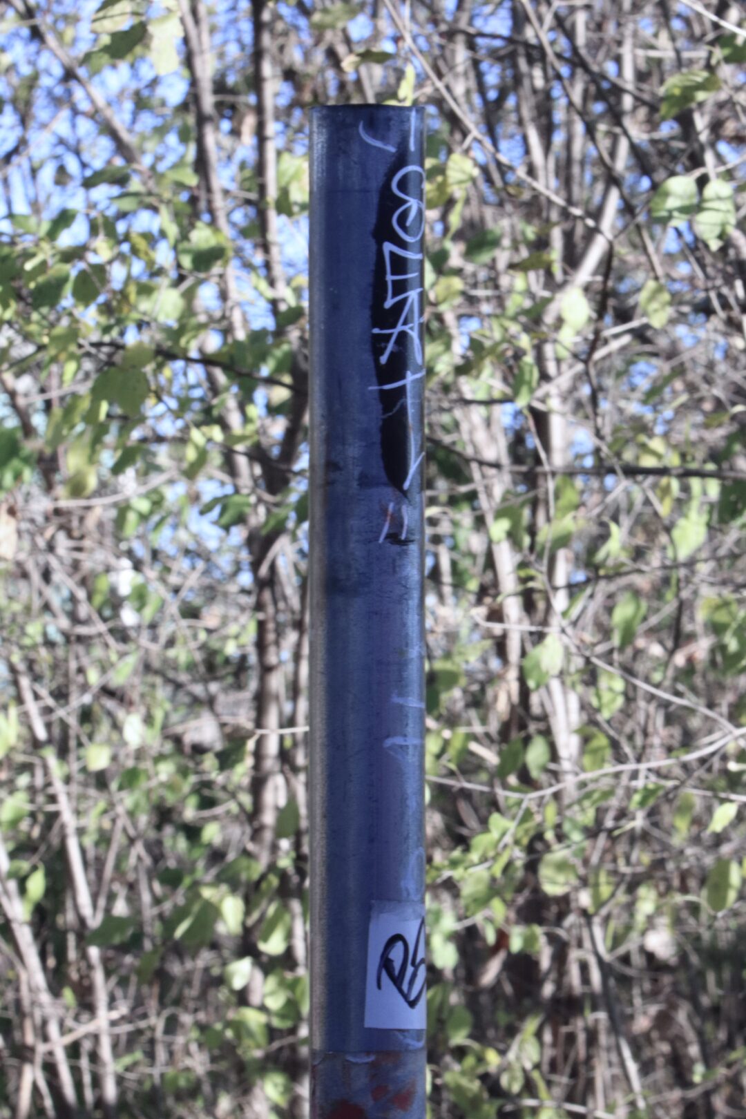 C47A46E6-09FE-4918-88E4-392401870002