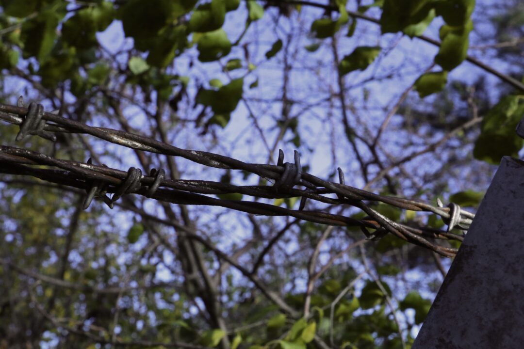 DD3E1D3B-E7A0-4330-BA37-3543C9ECBDE2