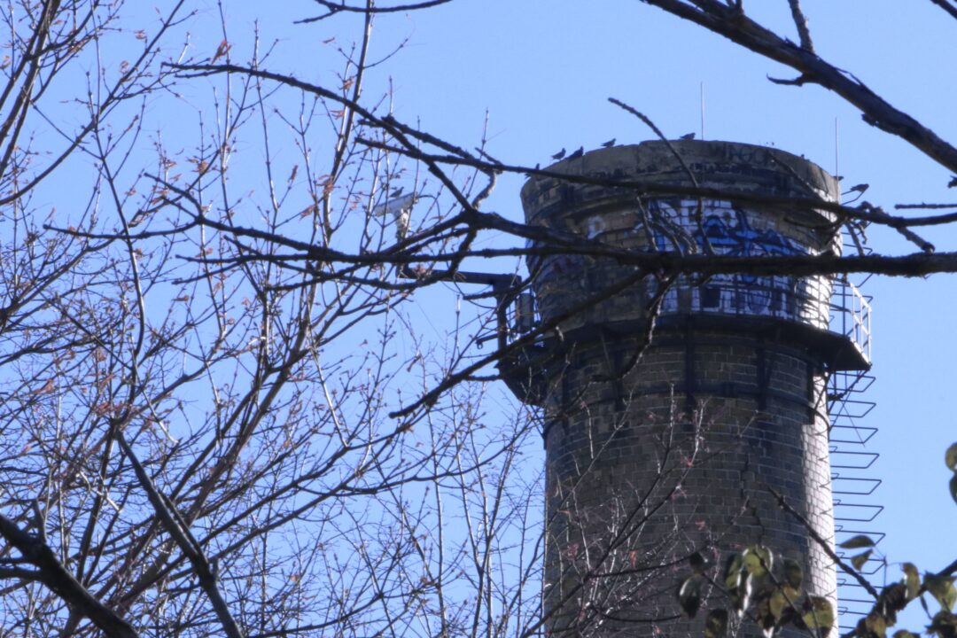 DFCAA37D-4A31-4CEA-89BC-2370BDD17AF1