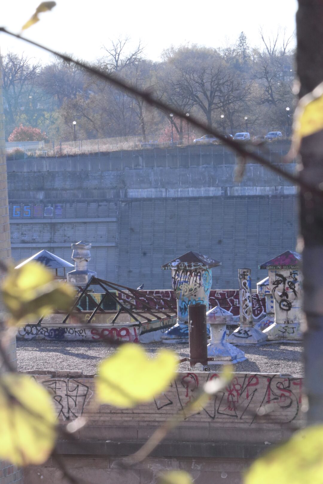 FE0CD08B-6747-4DDA-9E28-FBF469913243